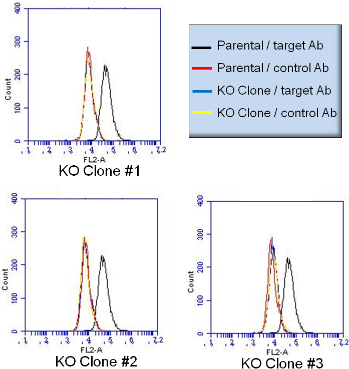 Confirmation of KO by FACS Knockin cells for precise gene modification – PNA Bio