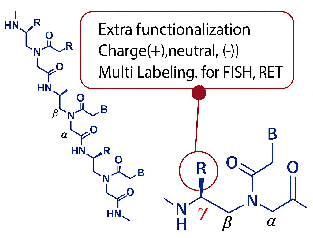 gPNA Gamma PNA for advanced molecular research – PNA Bio